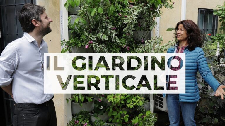 Guida per Creare un Giardino Verticale: Angolo Verde Ottimizzato
